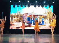 19. Pitstop (FS2024) 15.jpg